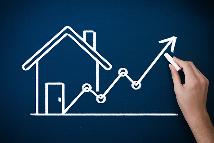 法務|複雑な契約・賃貸借・相続にも強い